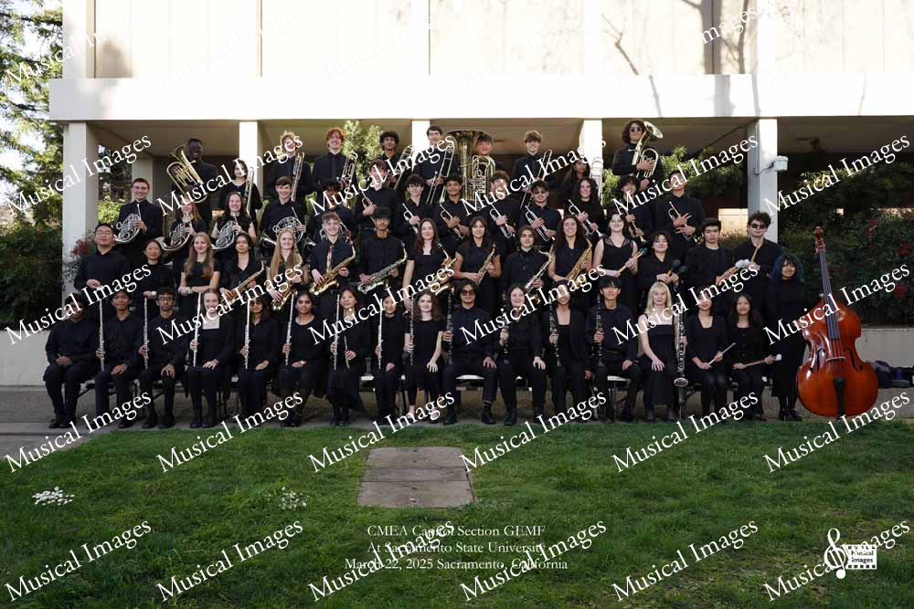 Musical Images
